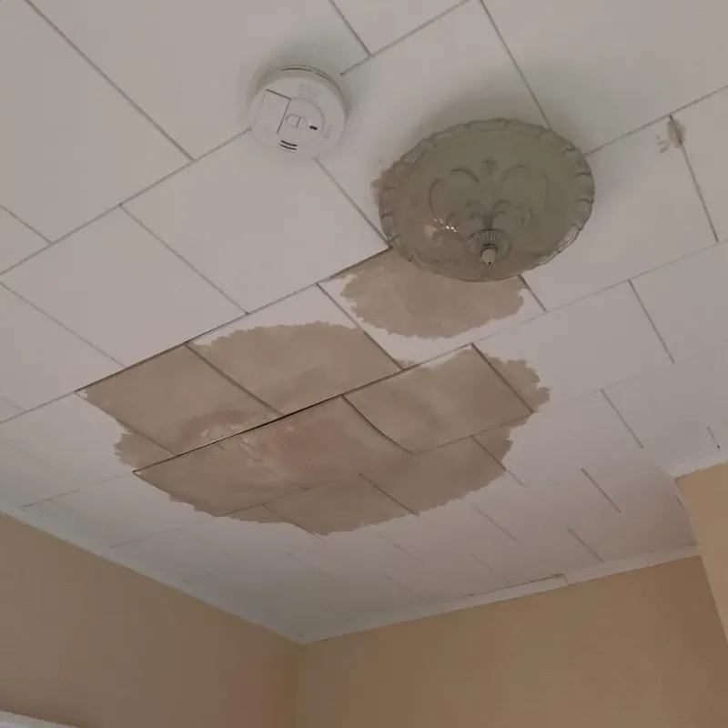 Ceiling Water Damage Repair in Center, ND