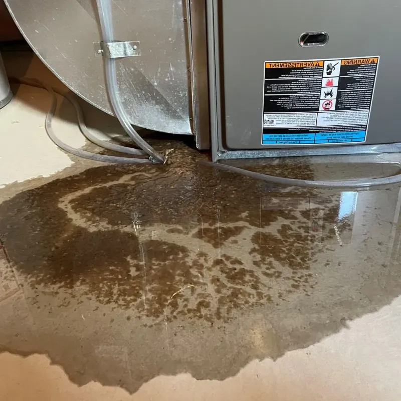 Pipe Burst and Leak Restoration in Center, ND