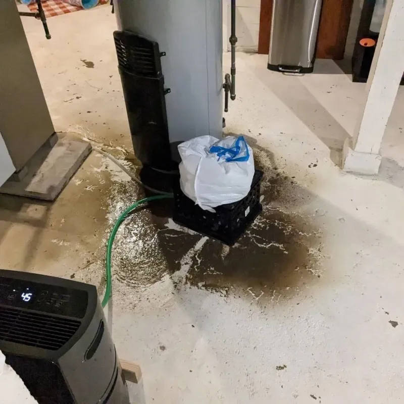 Sewage Backup Cleanup Service in Center, ND